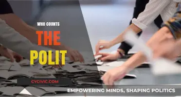 Who Counts the Votes? Unveiling the Politics Behind Election Tallying