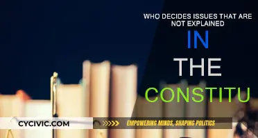 Exploring Constitutional Grey Areas: Who Decides?