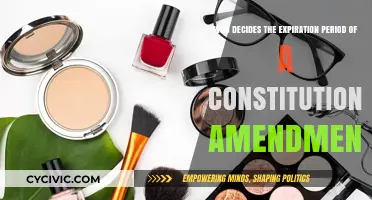 The Supreme Court's Role in Constitutional Amendment Expiry