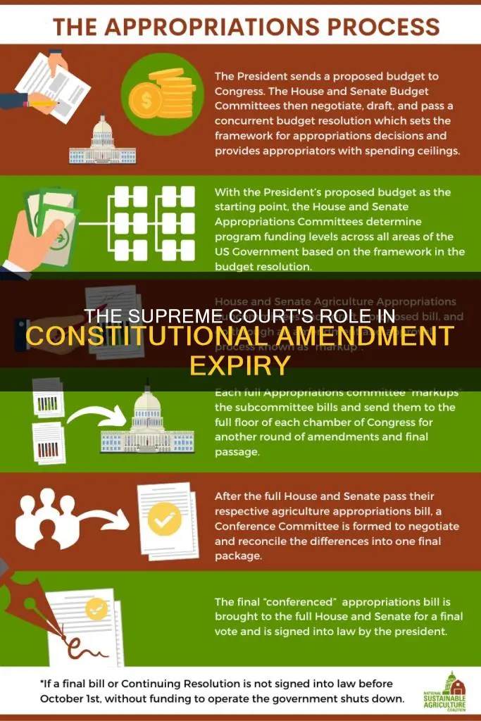 who decides the expiration period of a constitutional amendment
