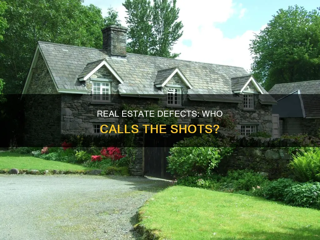 who decides what constitutes a defect in real estate deal