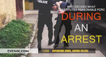 Who Can Justify Reasonable Force During Arrests?