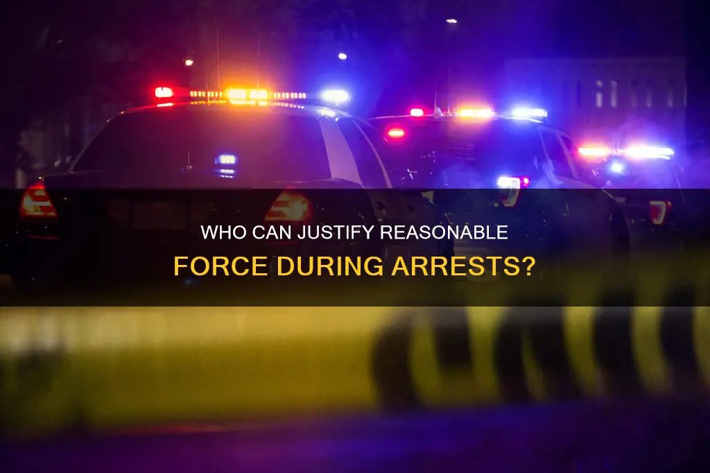 who decides what constitutes reasonable force during an arrest