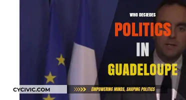 Who Shapes Guadeloupe's Politics? Understanding the Key Decision-Makers