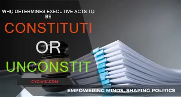 The Supreme Court: Executive Acts and the Constitution