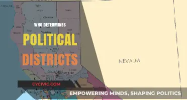Who Draws the Lines? Understanding Political District Determination