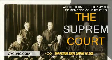 The Supreme Court: Who Decides Its Size?