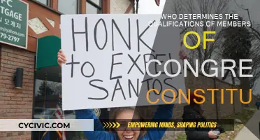 Congressional Qualifications: Who Decides?