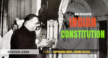 The Framers of India's Constitution