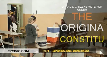The Original Constitution: Who Did Citizens Vote For?