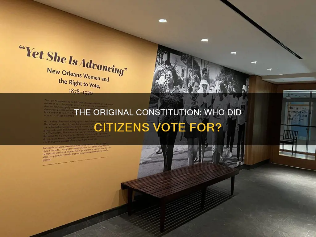 who did citizens vote for under the original constitution