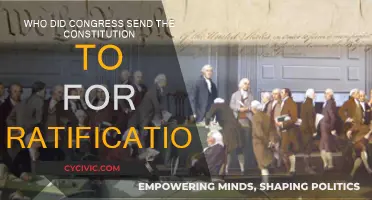 The Constitution's Ratification: Congress' Next Steps