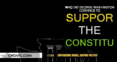 George Washington's Constitution: Persuading the Doubters