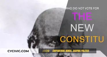 The Constitution: Who Didn't Vote?