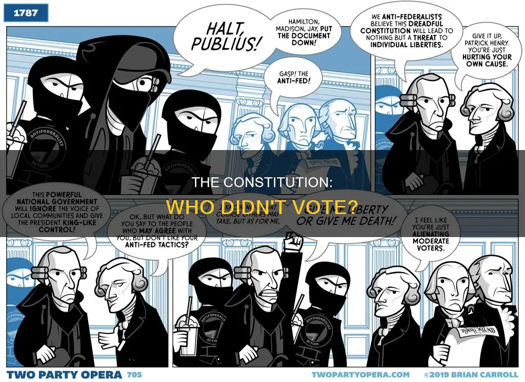 who did not vote for the new constitution