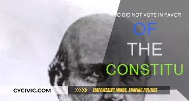 The Constitution's Naysayers: Who Opposed the Founding Document?