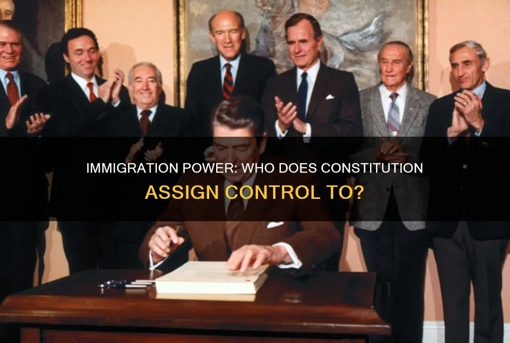 who did the constitution assign power to control immigration
