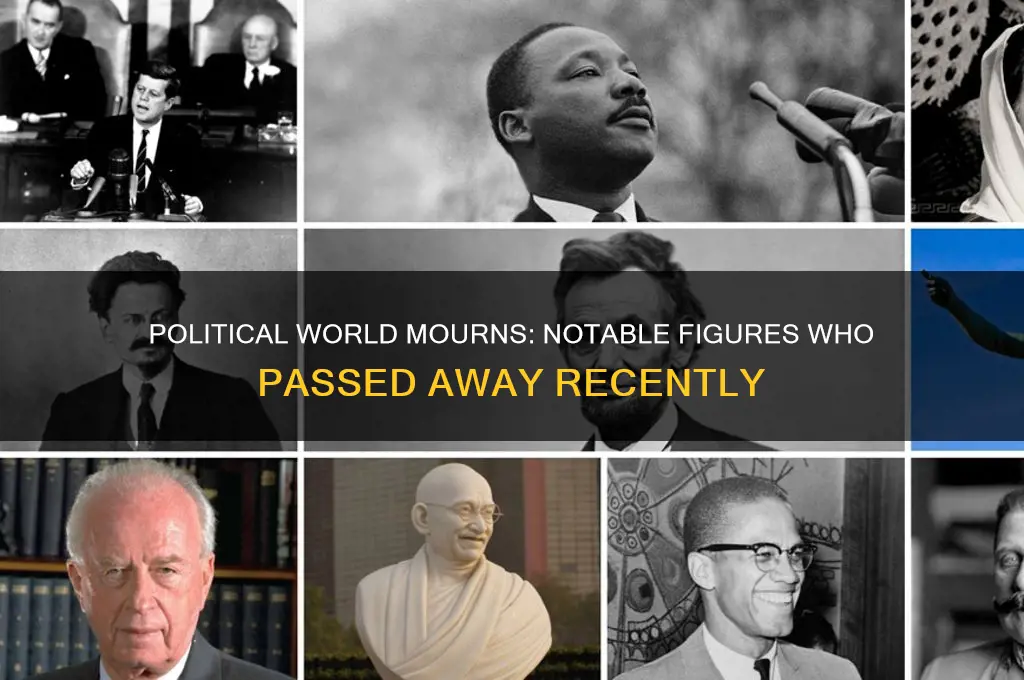 who died in political world