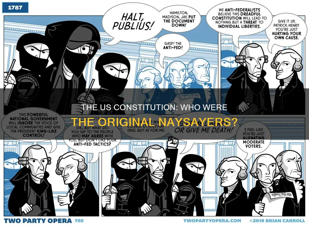 who disagreed with the us constitution in the beginning