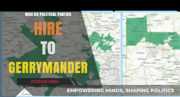 Unveiling the Experts: Who Do Political Parties Hire for Gerrymandering?