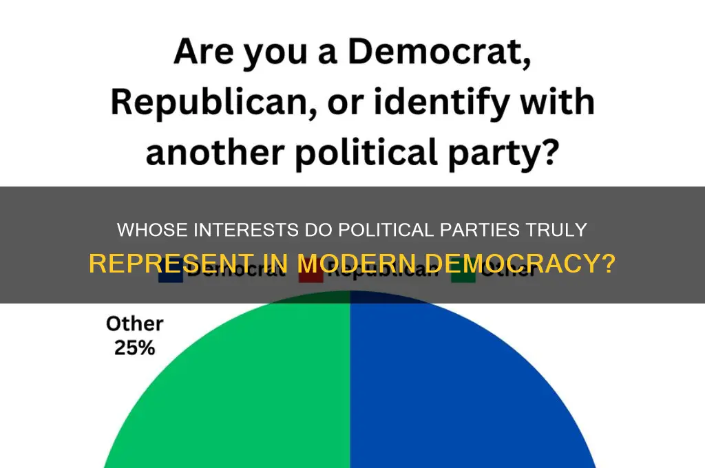 who do political parties represent