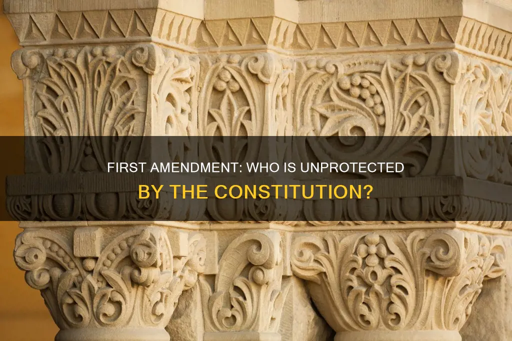 who does constitution prevent from the first amendment