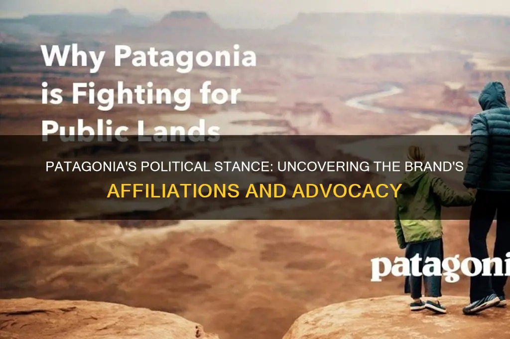 who does patagonia support politically
