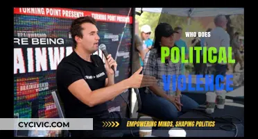 Unmasking the Perpetrators: Who Commits Political Violence and Why?