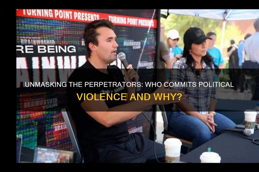 who does political violence