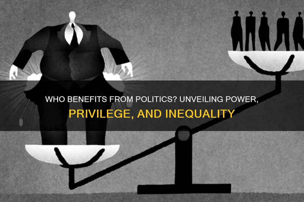 who does politics benefit