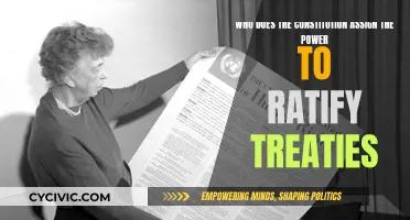 The Constitution's Treaty Ratification: Who Holds the Power?