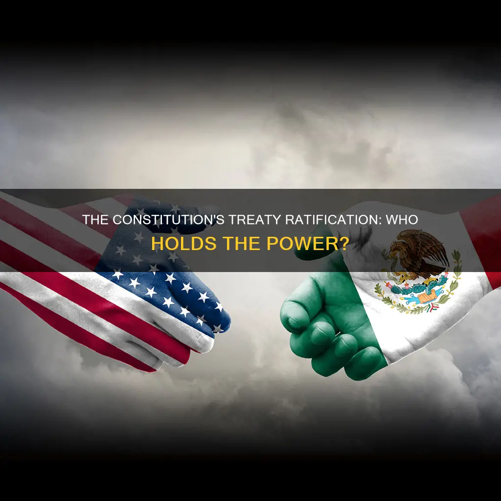 who does the constitution assign the power to ratify treaties