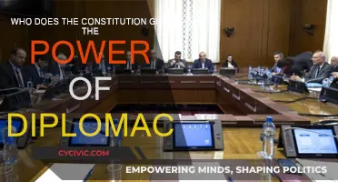 Diplomacy Power: Constitution's Allocation