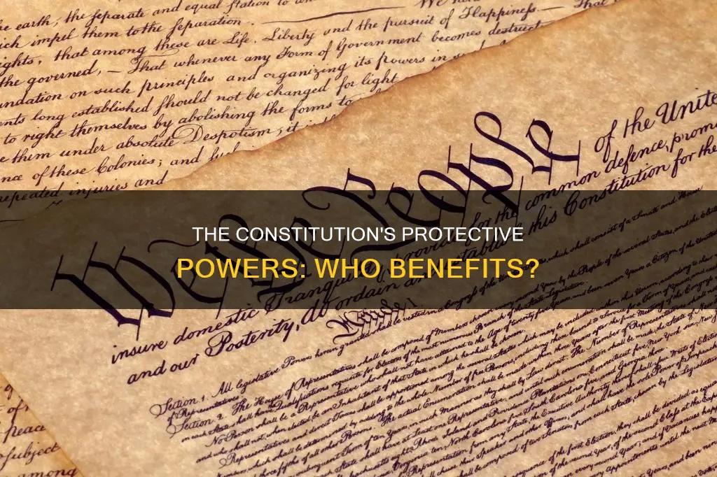 who does the constitution protect