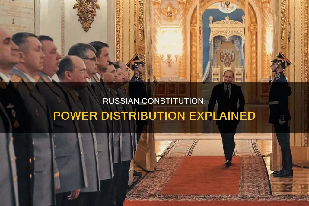 who does the russian constitution branch give power to