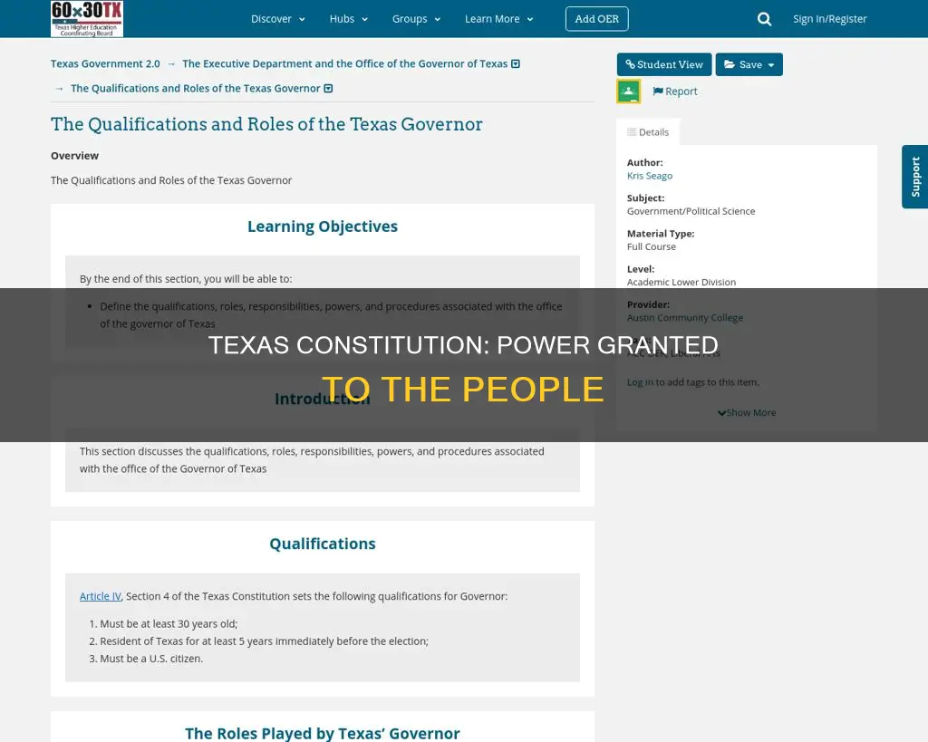 who does the texas constitution grant the most power to