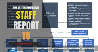 The Chain of Command: White House Staff Reporting Structure