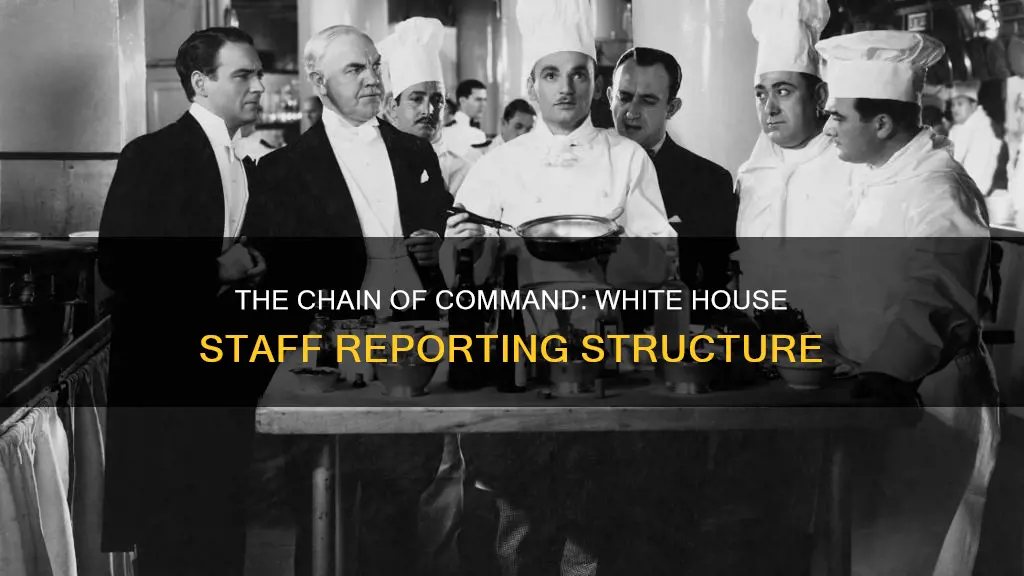who does the white house staff report to