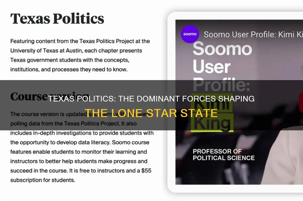 who dominated texas politics