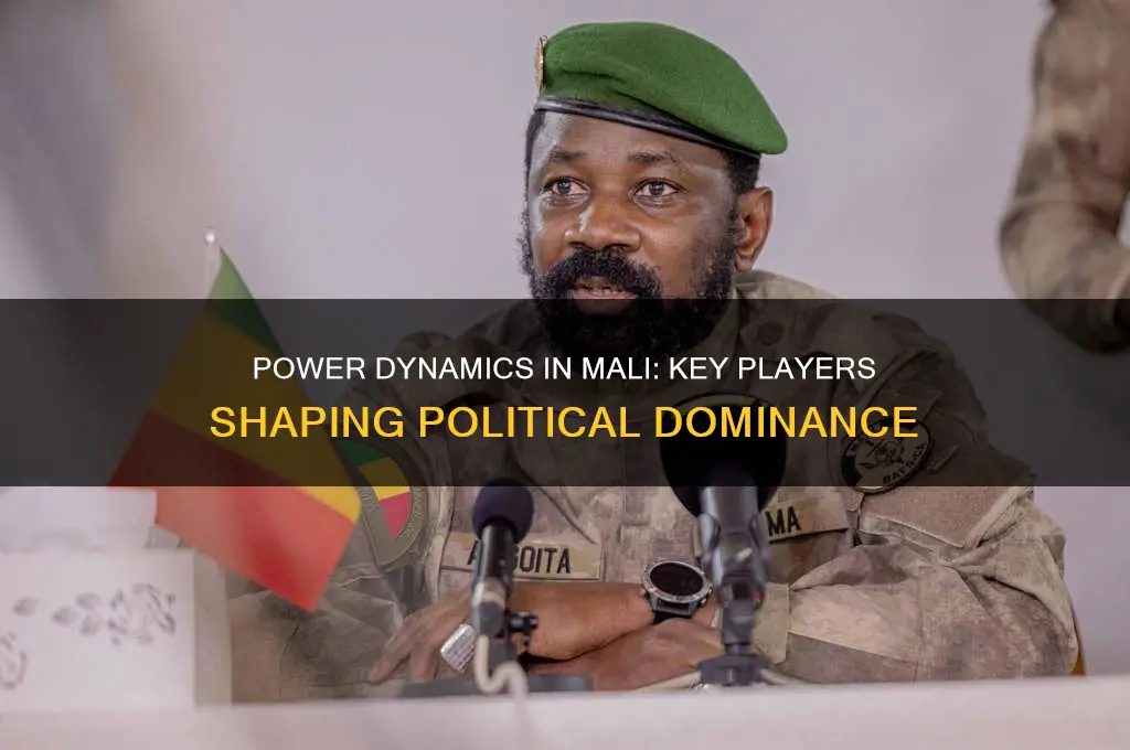 who dominates malian politics