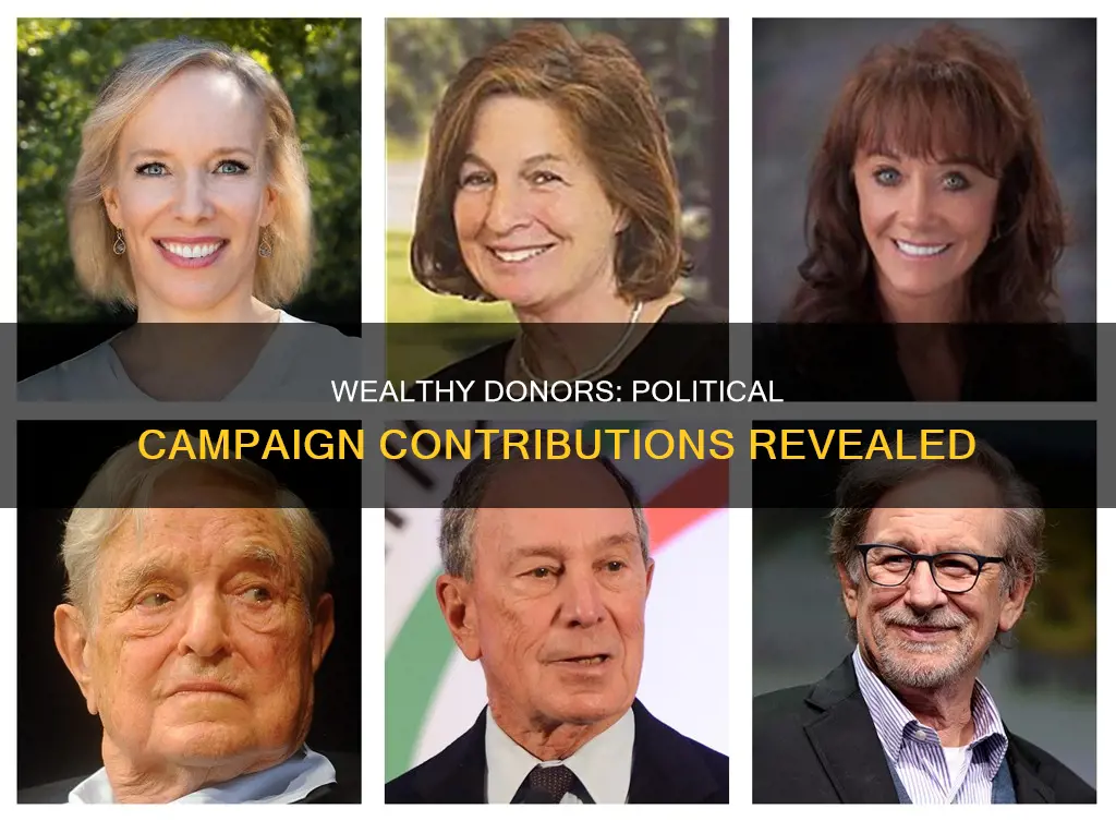 who donated the most to political campaigns