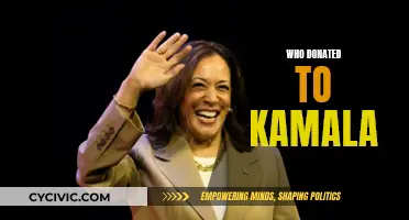 Donors to Kamala: Uncovering the Sources of Campaign Funding