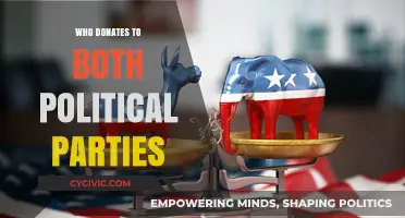 Bipartisan Donors: Who Funds Both Political Parties in America?