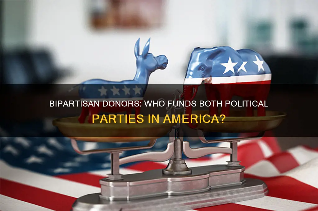 who donates to both political parties