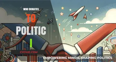 Unveiling Political Donors: Who Funds Campaigns and Why It Matters