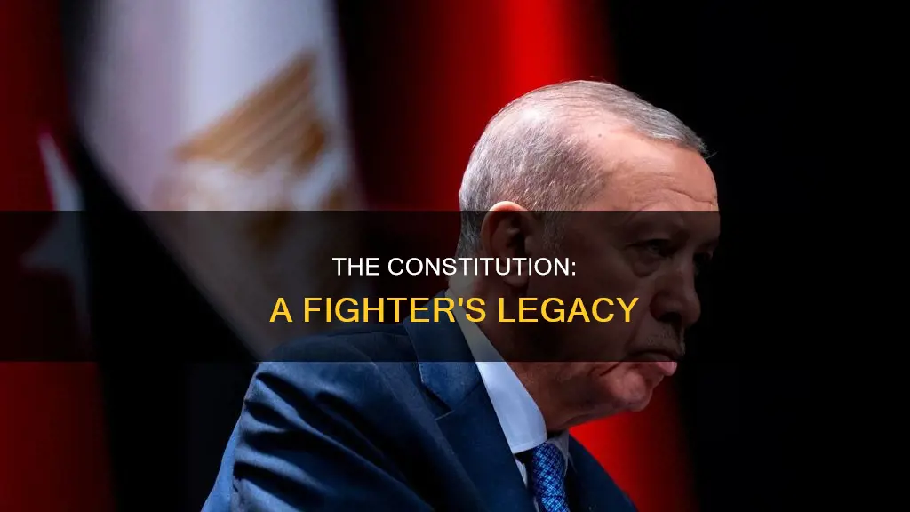 who drafted the constitution for what he fought