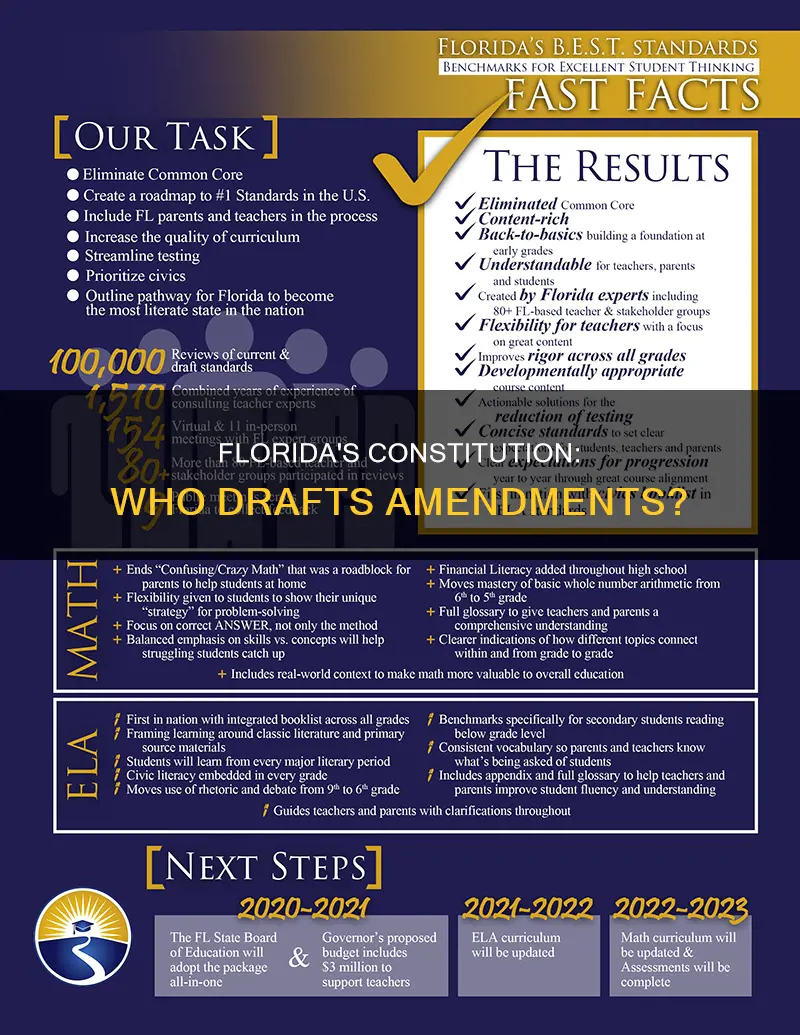 who drafts constitutional amendments in florida