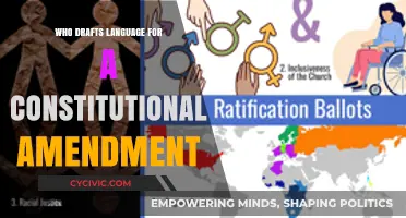 Who Authors Constitutional Amendments?