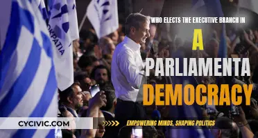 The Executive Branch: Elected by the People's Representatives