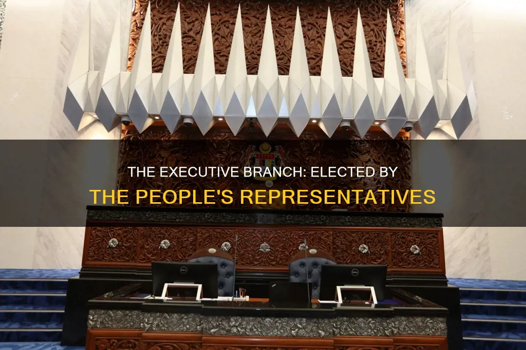 who elects the executive branch in a parliamentary democracy